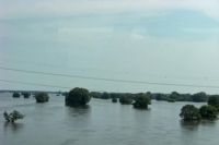 Hochwassereinsatz 2013 in Lüneburg