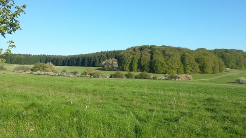 Bilder - Austausch mit dem JRK Zuffenhausen in Marbach